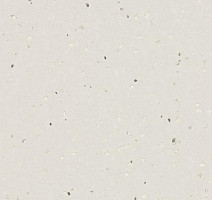 Линолеум Forbo Sphera Evolution 50401 silver white pearl фото 1 | FLOORDEALER